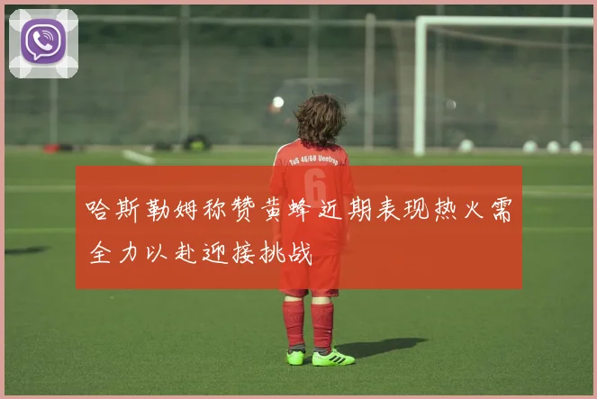 哈斯勒姆称赞黄蜂近期表现热火需全力以赴迎接挑战