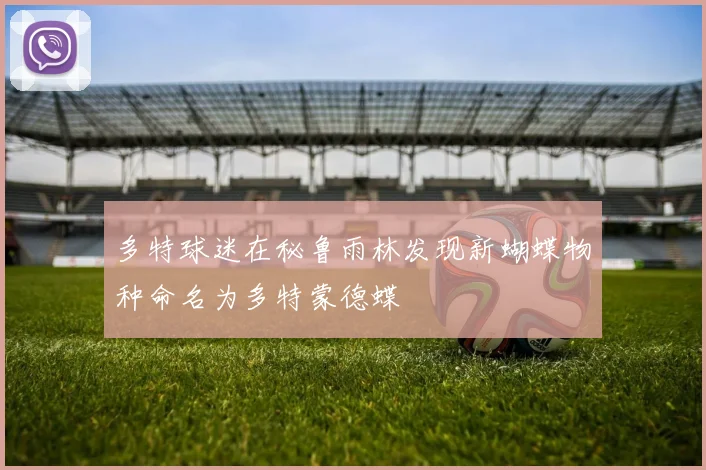 多特球迷在秘鲁雨林发现新蝴蝶物种命名为多特蒙德蝶
